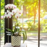 Keramični lonec Moon 09.121.14